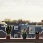 Why a Move Could Bring You More Happiness This Year | North Scottsdale Real Estate & Luxury Homes | Team Picarello