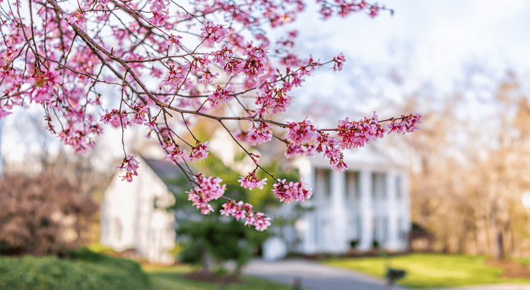4 Ways To Make an Offer That Stands Out This Spring | North Scottsdale Real Estate & Luxury Homes | Team Picarello